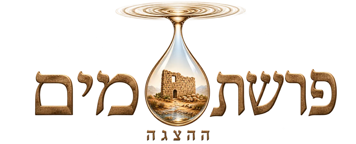 פרשת מים ההצגה