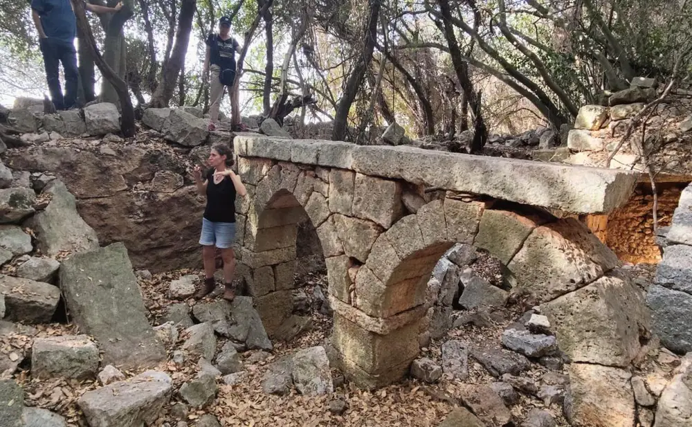 קשת אבן משרידי חירבת צונם, בין העצים